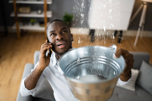 Best 24/7 water damage repair  in Ocean City, FL