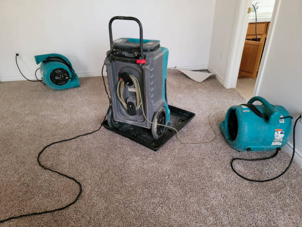 Best Professional water damage repair  in Ocean City, FL