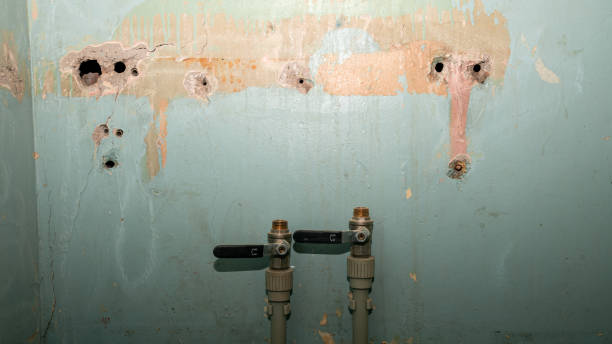 Best Carpet water damage restoration  in Ocean City, FL