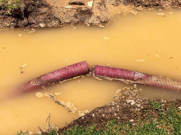 Ocean City, FL Water damage restoration Pros